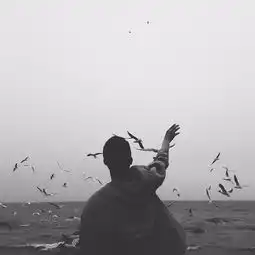 宗智的美拍
