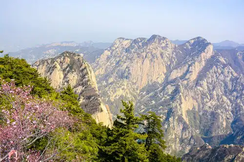 悬崖峭壁,迎客松图片素材下载自然风景素材下的悬崖峭壁图片素材

