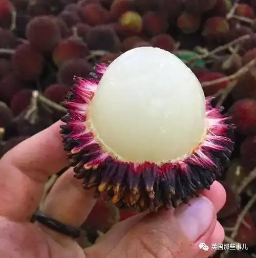 三年里,这对情侣只吃水果减重60斤只是这变化,有人欣赏有人担忧
