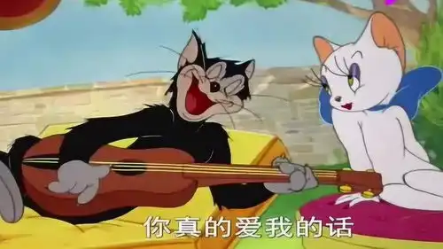 猫和老鼠汤姆和黑猫争夺美女,没想到被狠狠的教训了一顿

