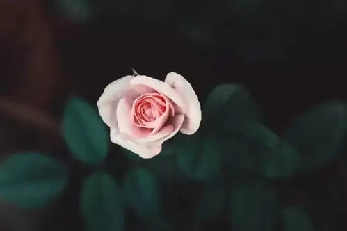 聆听爱,要留给值得的人
