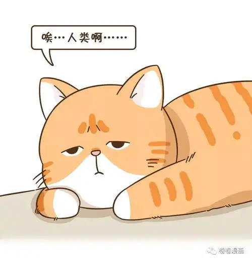 单身喵七夕自救攻略
