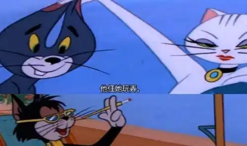 猫和老鼠真实版大结局,为了真爱汤姆欠下百万,却被黑猫截胡
