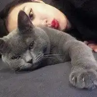 情侣头像两人抱着猫咪微信头像图片大全
