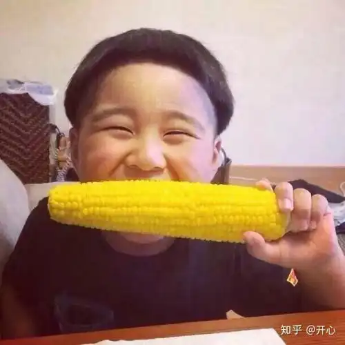 我和我的s先生
