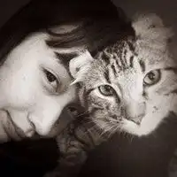 2018抱着猫头像微信头像图片大全
