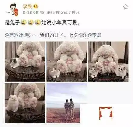 李晨求婚范冰冰36岁的她嫁给了爱情
