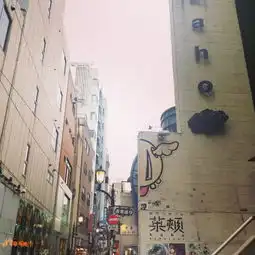 北海道之夏海量图片
