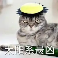 猫咪图片大全霸气头像微信头像图片大全
