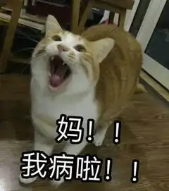 妈妈,我爱你
