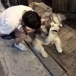 男生萌头像
