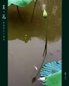 最全动漫情侣头像虐狗预警需要的自取
