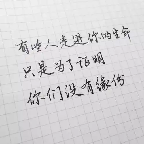 10条唯美心情语录,总有一句你喜欢
