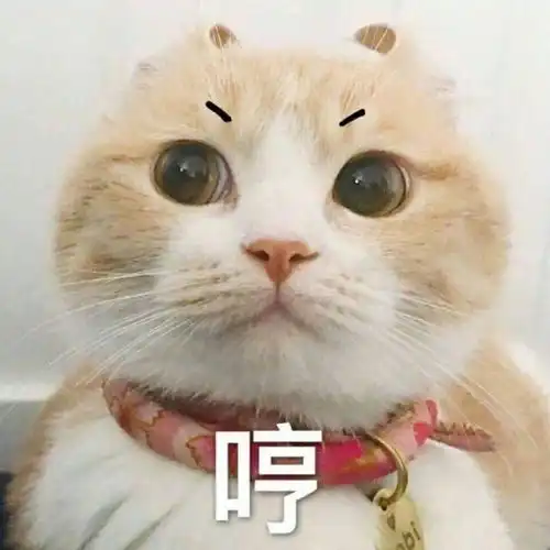 大家怎么看待游戏里的憨批cp的
