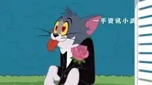 猫和老鼠中文版全集高清

