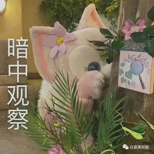 这是晋江神仙情侣照进现实刚火就被打假
