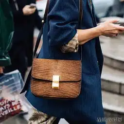 celine包包可以有100种样子,但她们内核一样女人
