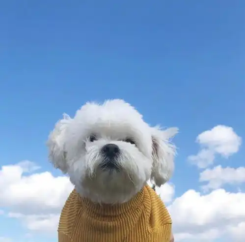 心情低落人生哲理短句
