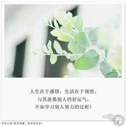 早安心语励志正能量图片分享
