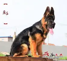 黄页88高清图片
