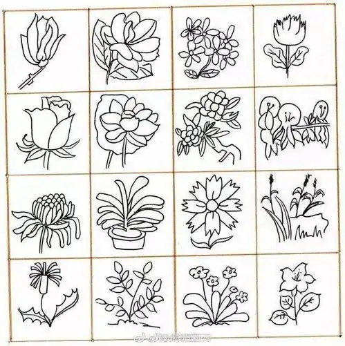 教程,黑白简笔画植物素材合集
