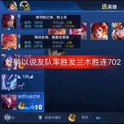 王者荣耀流儿最强边路快手直播
