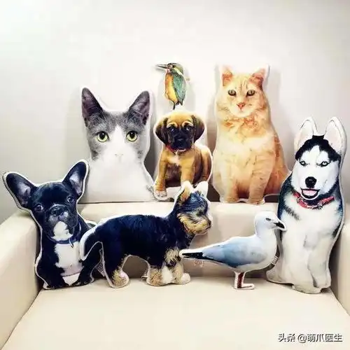 猫带着你给我做的生日蛋糕,滚
