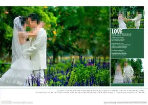 婚纱情侣相册模版图片

