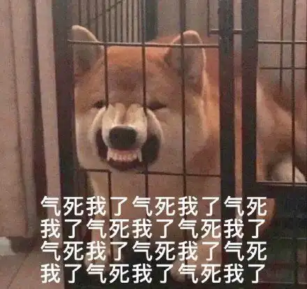 热门表情包图片看见我额头的666了吗
