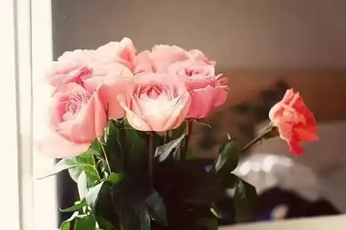 第261期风雨人生,记得给自己一个微笑
