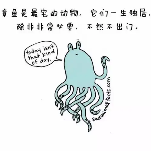 动物哪些怪癖让你看到不一样的它

