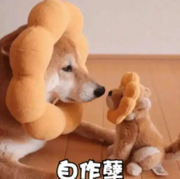 恰烂钱不认妈.....内娱顶流人均真爱国
