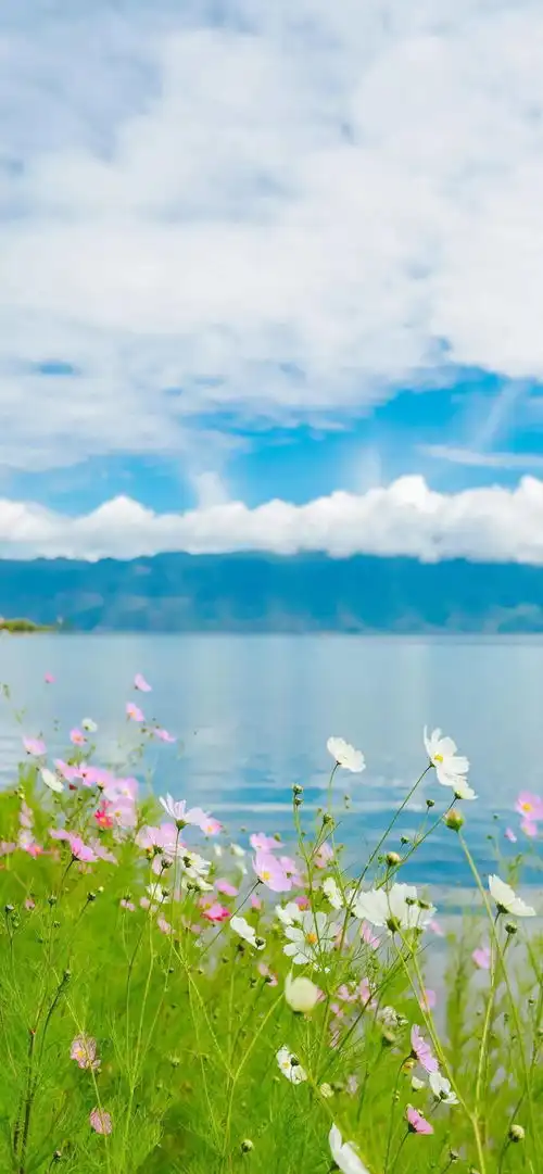 壁纸清新养眼唯美的风景
