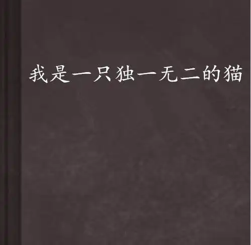 我是一只独一无二的猫
