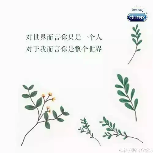 情人节,表白文案脱单全靠它了情话
