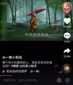 一禅小和尚粉丝破4500w,那些势头好的ip是如何吸粉的
