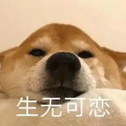 潮人必备手机壳,还可以当手写板,666
