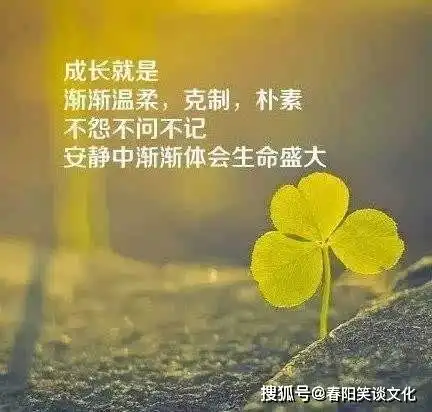 早安简短心情说说短句句句精辟入心
