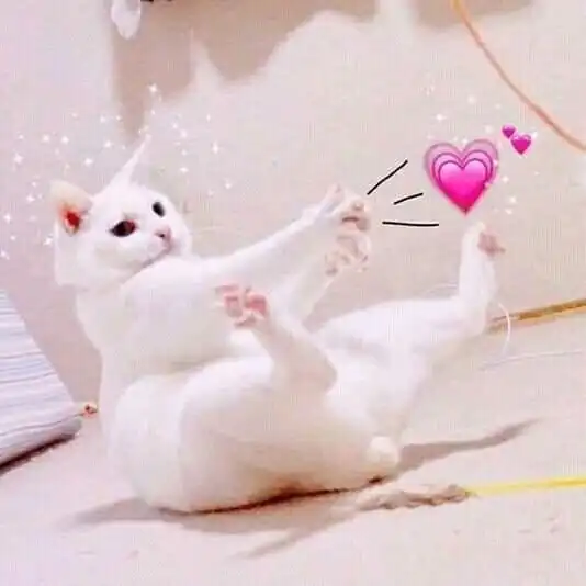 你们有哪些温柔励志的句子啊
