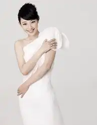 杨颖刘诗诗张歆艺白百何2013新四小花旦出炉
