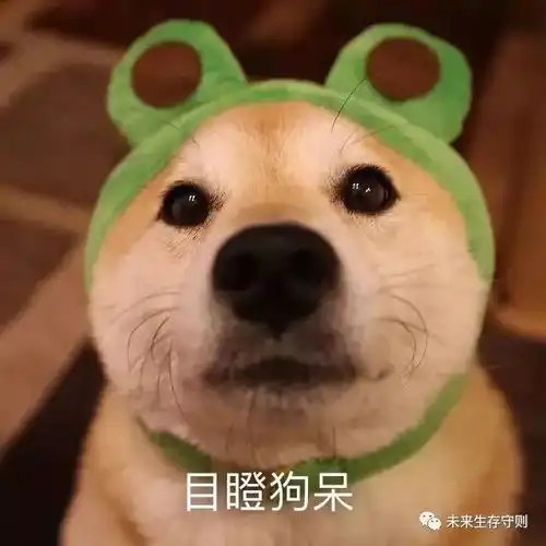 attention铲屎官们,你们买买买出了一个2000亿的市场
