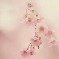 微信头像远景人物图片微信头像图片大全

