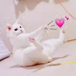 100张个性情侣头像
