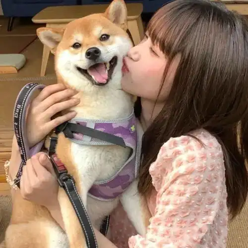 超级nice的情侣头像
