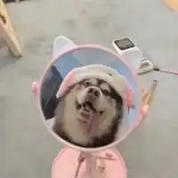 对象不是人沙雕爱人头像
