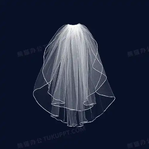 头纱png图片素材免费下载png格式650650像素熊猫办公
