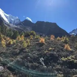 稻城冲古寺攻略,冲古寺门票游玩攻略地址图片门票价格
