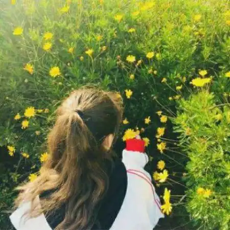 一男一女情侣头像背影图片只有爱才能结束伤害
