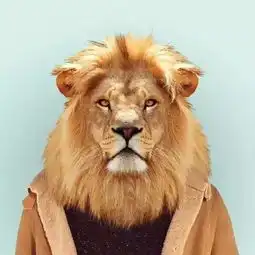 当野生动物穿上人的衣服
