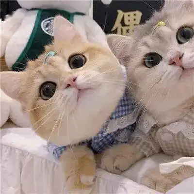 超哇塞的微信头像
